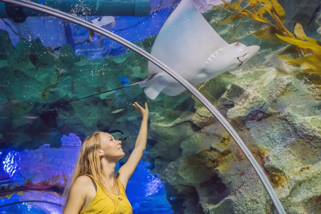 click pictures at Dubai Aquarium and underwater zoo